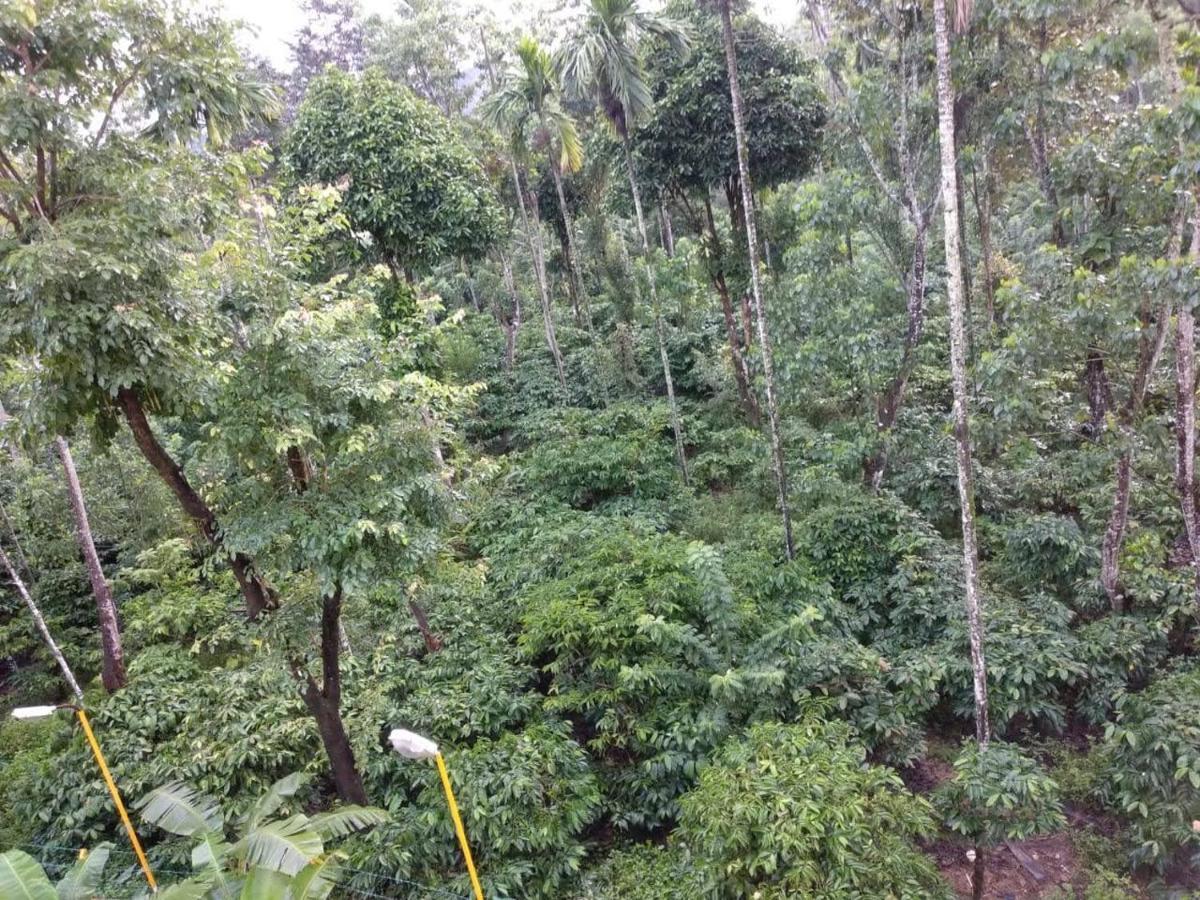 Wanders In Travel Company Hotel Madikeri Exterior foto