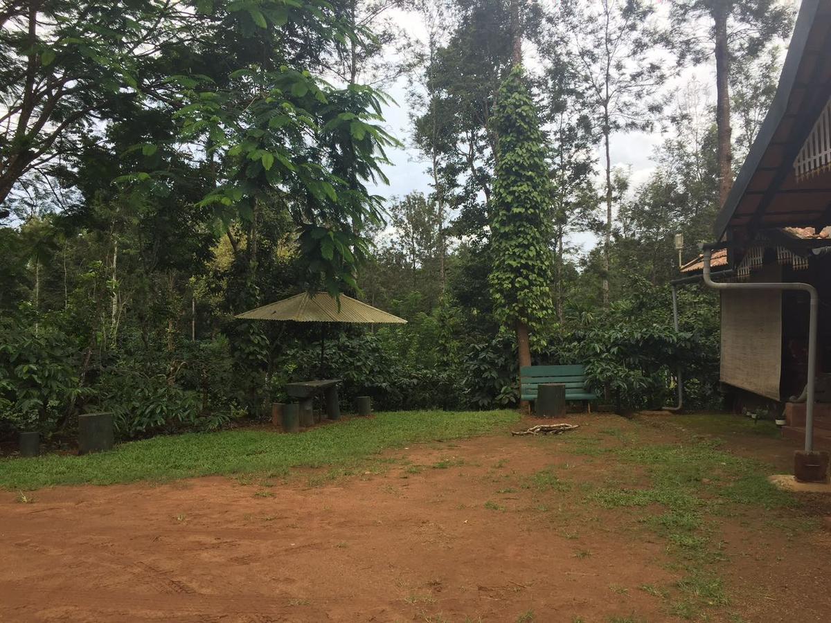 Wanders In Travel Company Hotel Madikeri Exterior foto